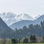 Braun Bolsterlang