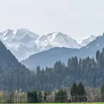 Braun Apartamento